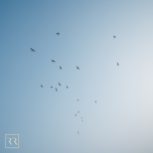 两个男人同性做爱钙片
