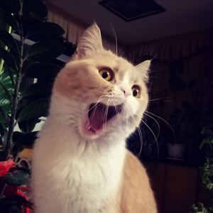 两个男人同性做爱钙片
